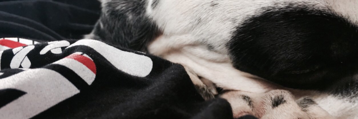 Lilywblue's profile banner image