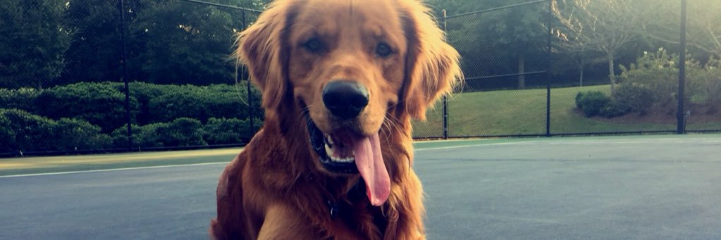 me_sowell's profile banner image