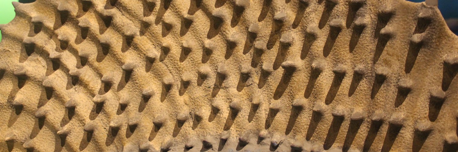 Edaphosaurus's banner