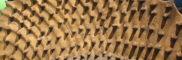Edaphosaurus Profile Banner