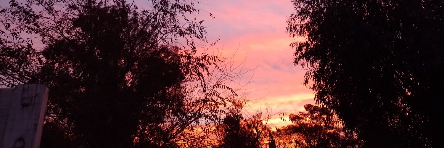 lufrontini's profile banner image