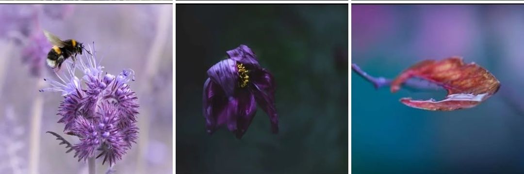 Macrophy's profile banner image