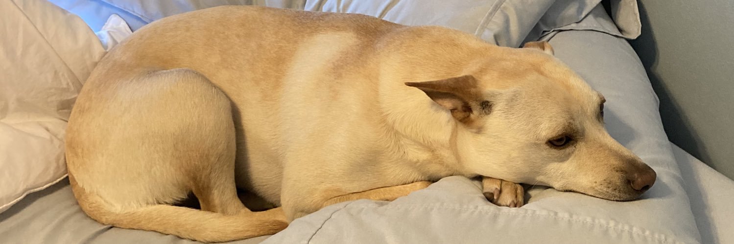 theraingiirl's profile banner image