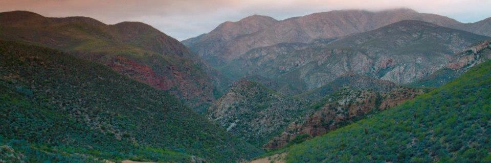 TheLeopardTrail's profile banner image