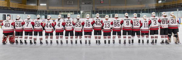 toaeros Profile Banner