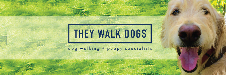 TheyWalkDogs's profile banner image