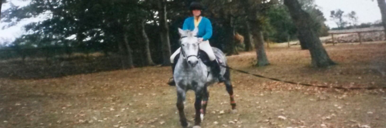 elaine v m james banner