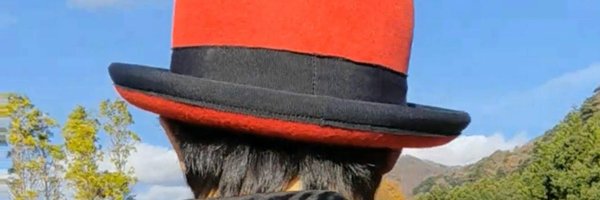 c_manami_ Profile Banner