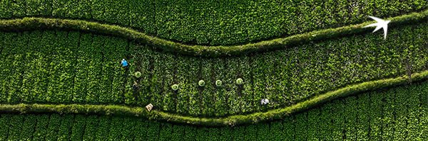 BNP Paribas AM ID banner