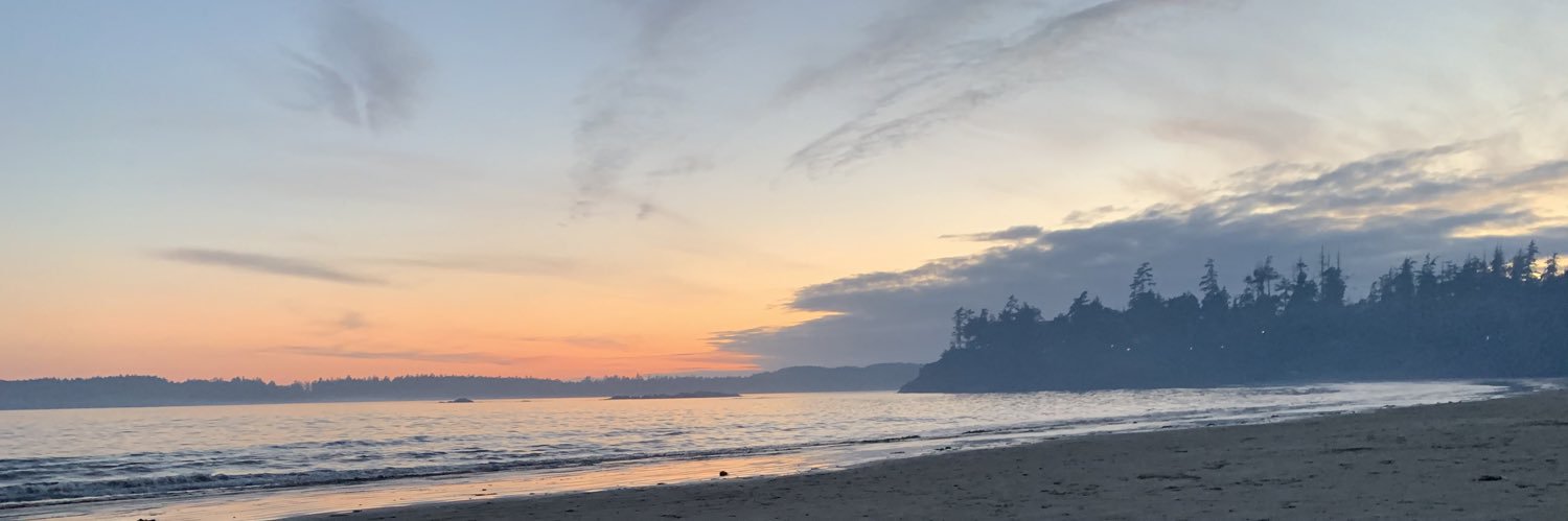 Ashley Feldstein banner