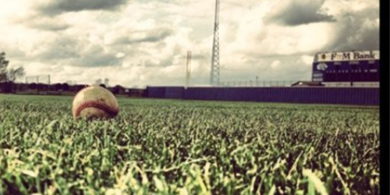 Piedmont Baseball's banner