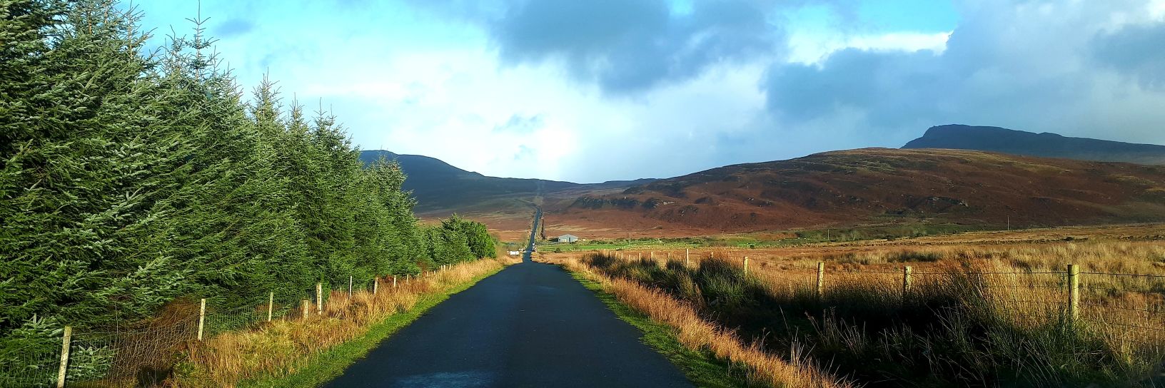 Drigin Gaffey banner