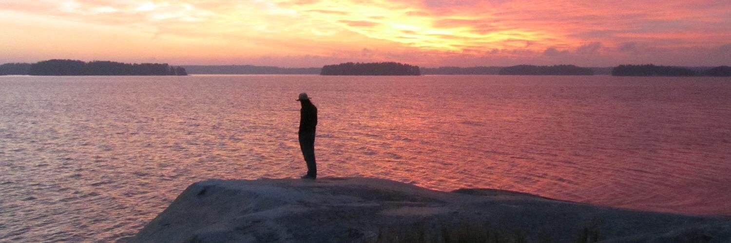 MesoPerm's profile banner image
