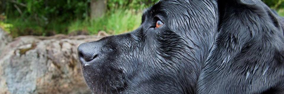 Max Harding OTRB 🌈 banner