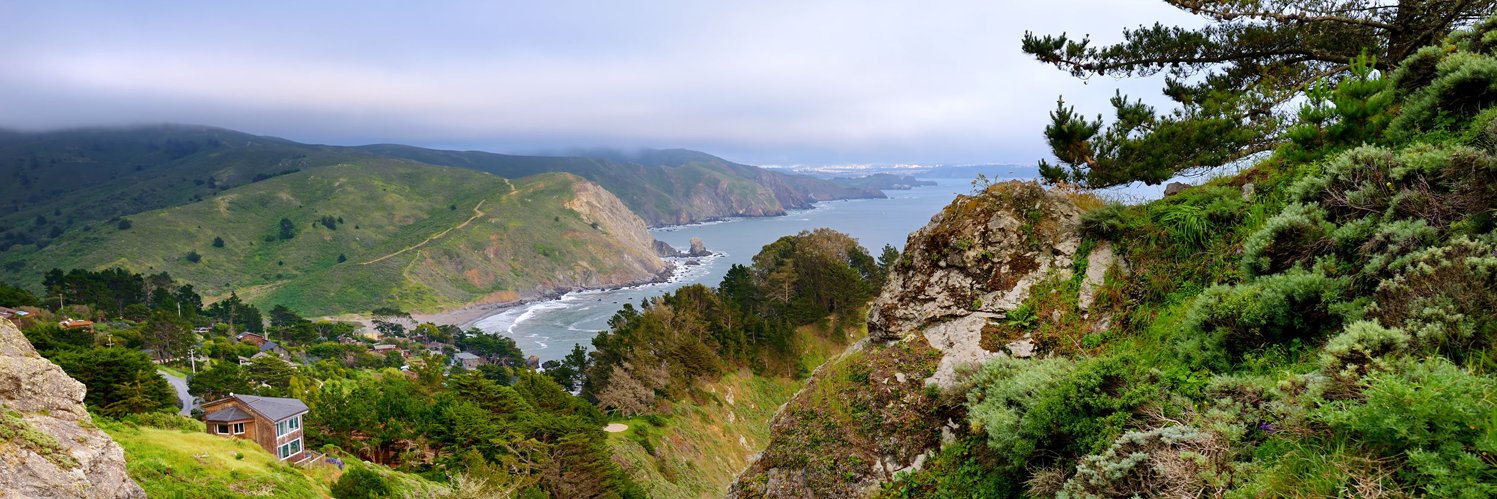 Jennifer Iscol banner