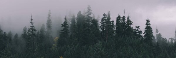 ava_noon's profile banner image