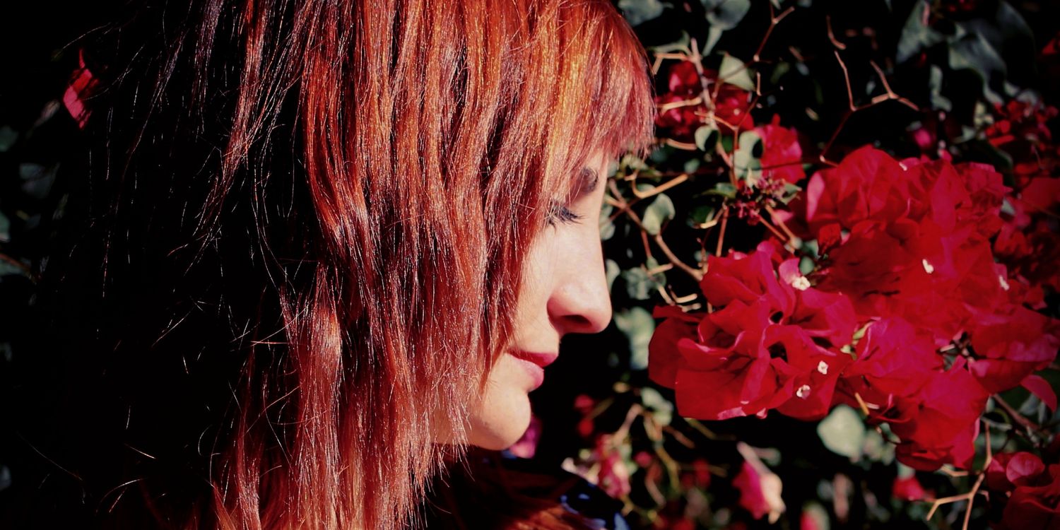 AzulMonse2's profile banner image