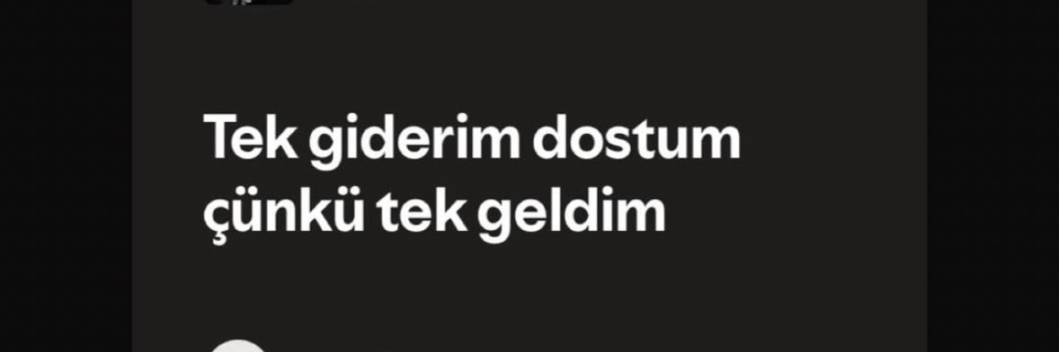 Omercan Caner banner