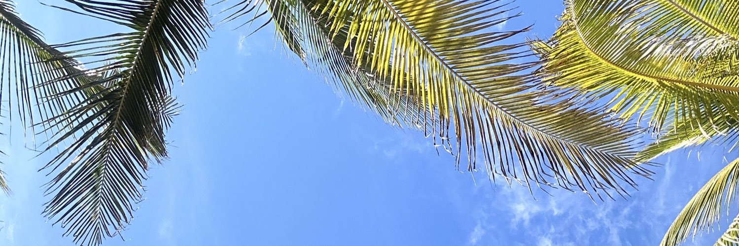 IrisAll1's profile banner image