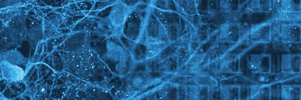 u_frey's profile banner image