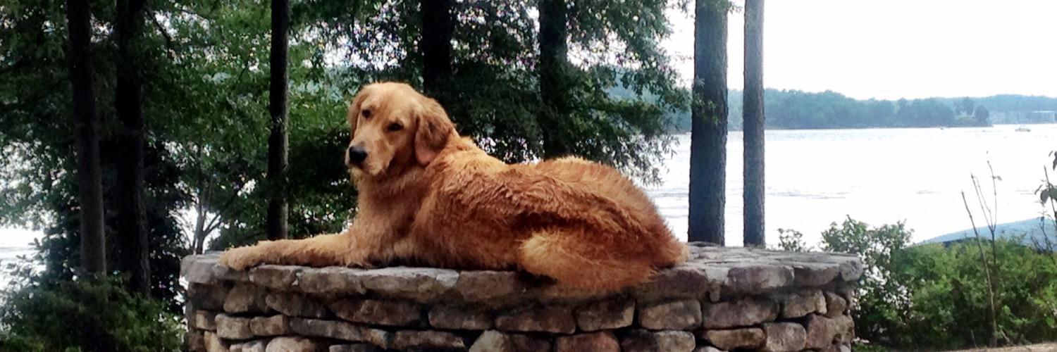 hdavidson18's profile banner image