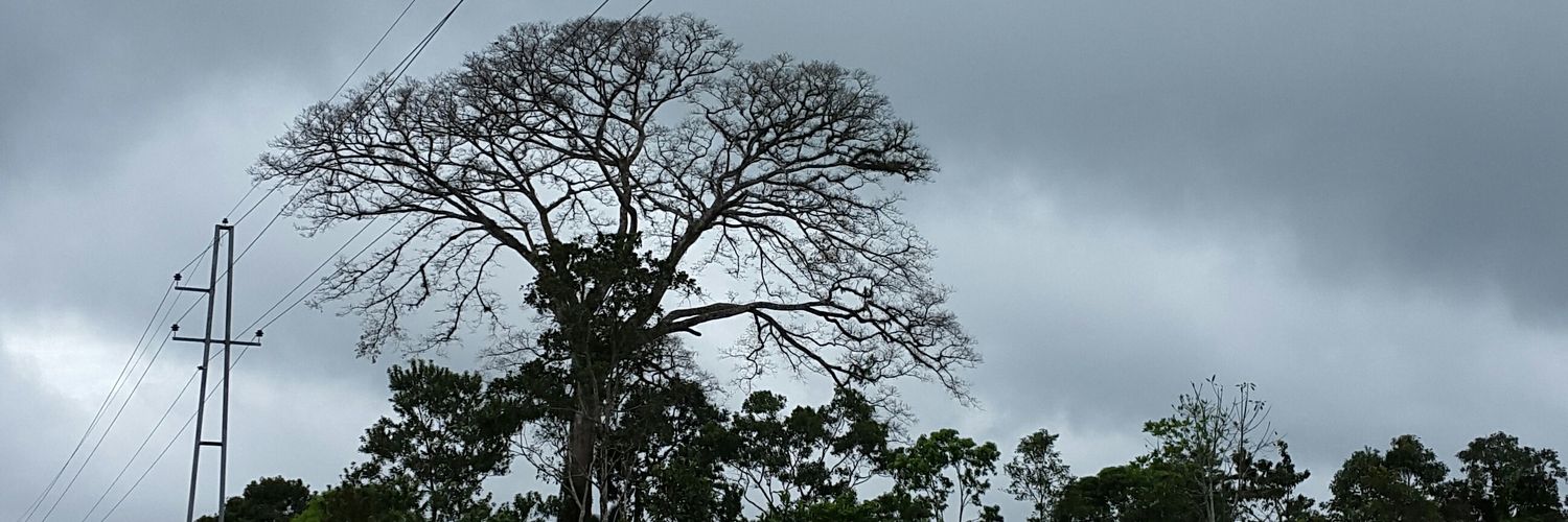 carlosort28's profile banner image