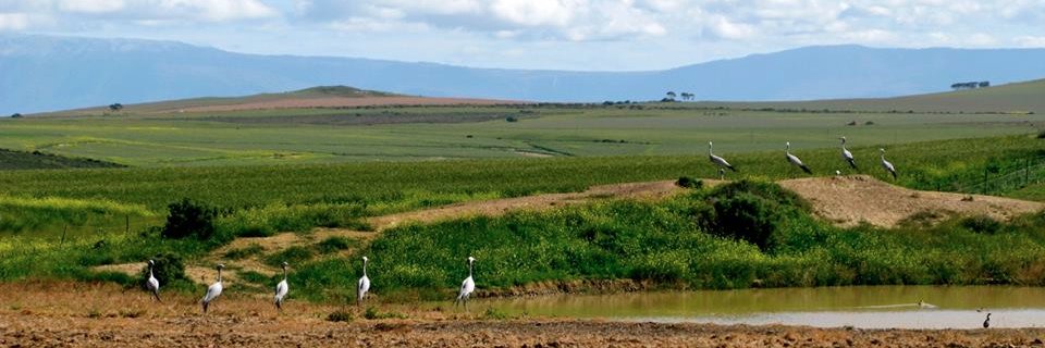 Kieran Findlater, PhD banner
