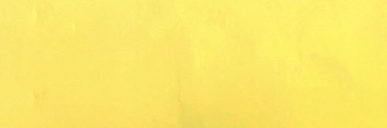 Ariel Ardón banner
