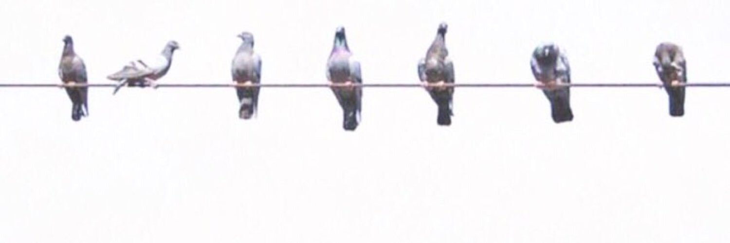 mem_y0's profile banner image