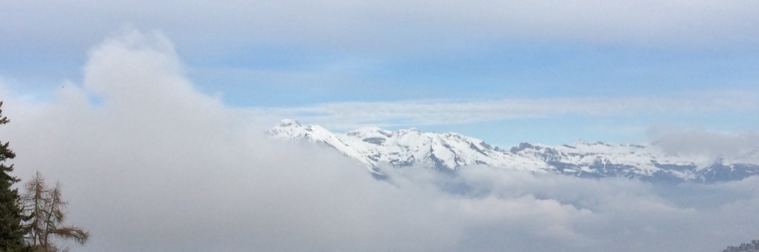 Rhi🏴󠁧󠁢󠁷󠁬󠁳󠁿 banner