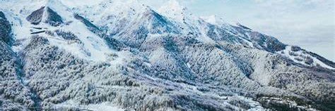 Miranda Culpitt banner