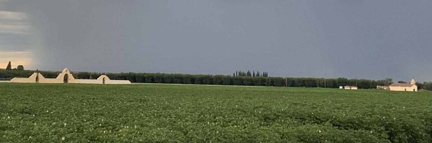 Margarita Murphy banner