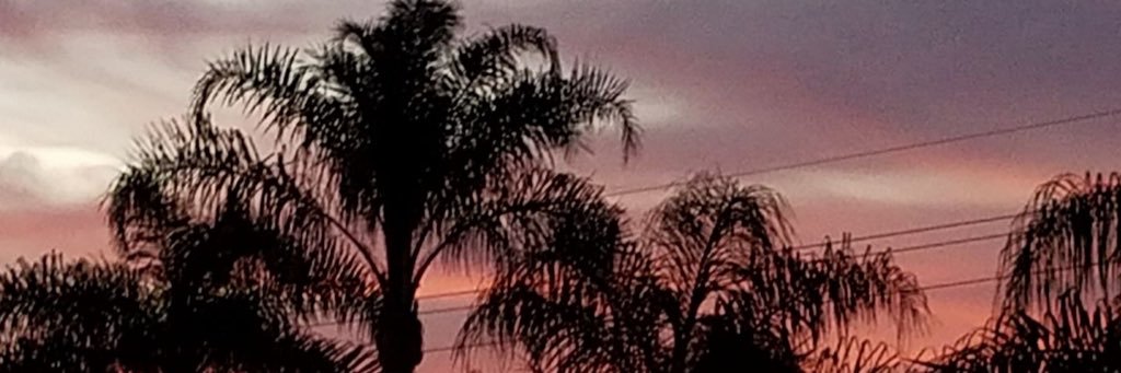 ParatorePeter's profile banner image