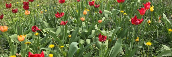 josef_widder Profile Banner