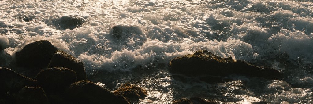 حازم فطاني banner