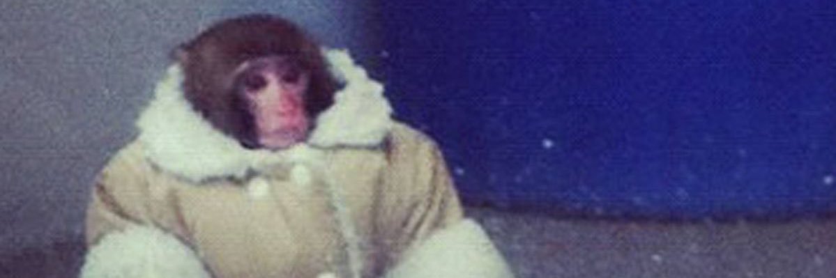 iblamemeg's profile banner image