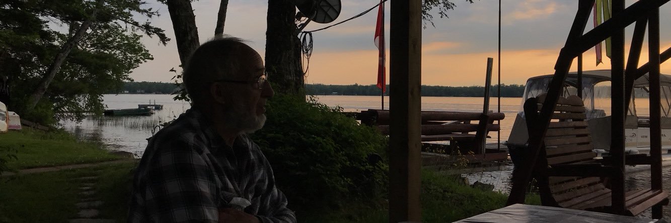 Ally MacDonell banner