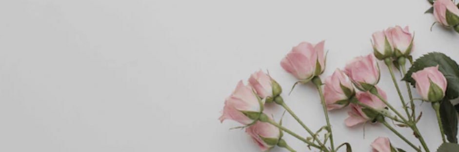 _haiijacky's profile banner image