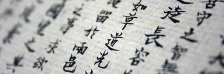 Metea Valley Chinese banner