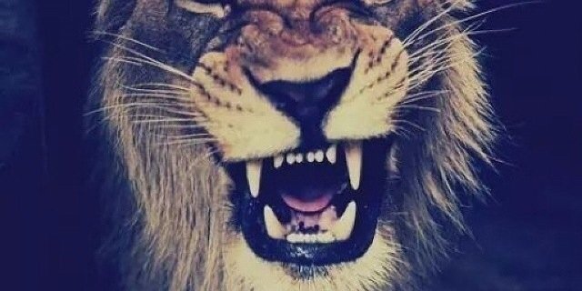 0ptimusFinee's profile banner image