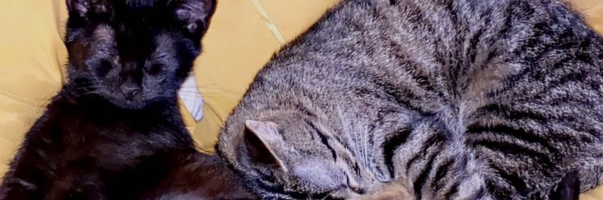 S K Y banner