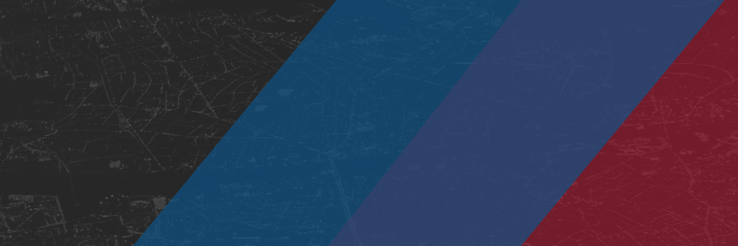 Rozin Security banner