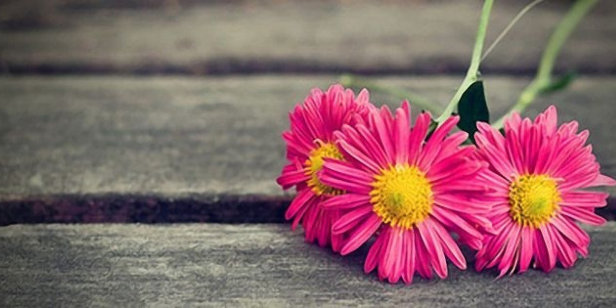 mamafay89's profile banner image