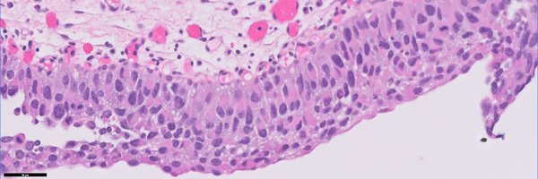 slusagar Profile Banner