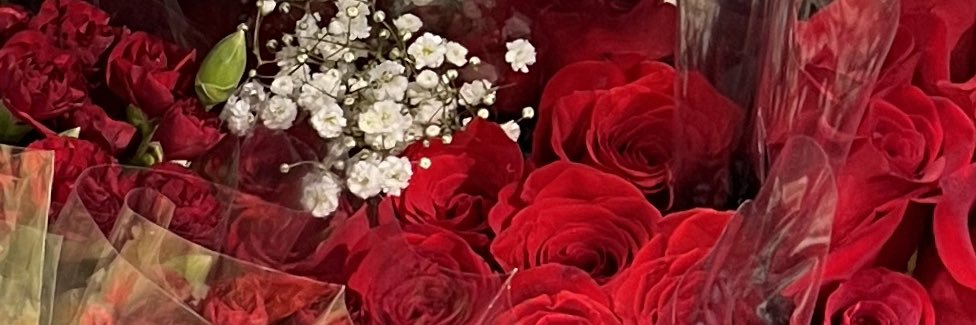 __bratd0ll's profile banner image