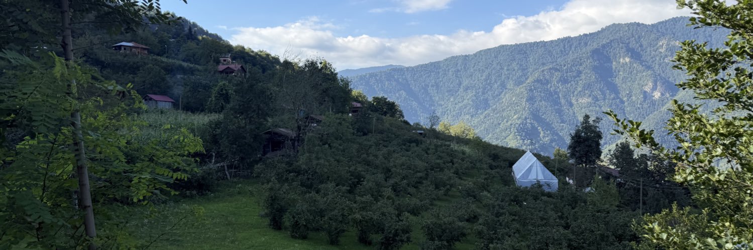 QviteliTsiteli's profile banner image