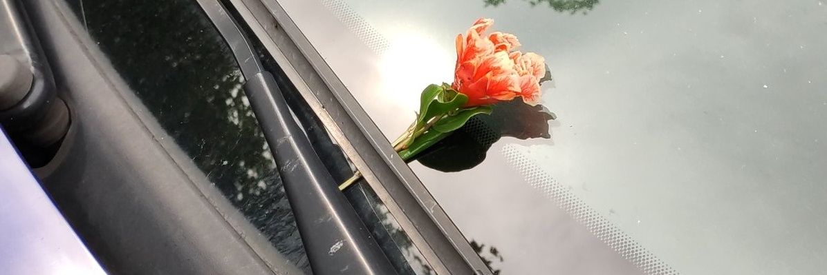 Erwan_XIII's profile banner image