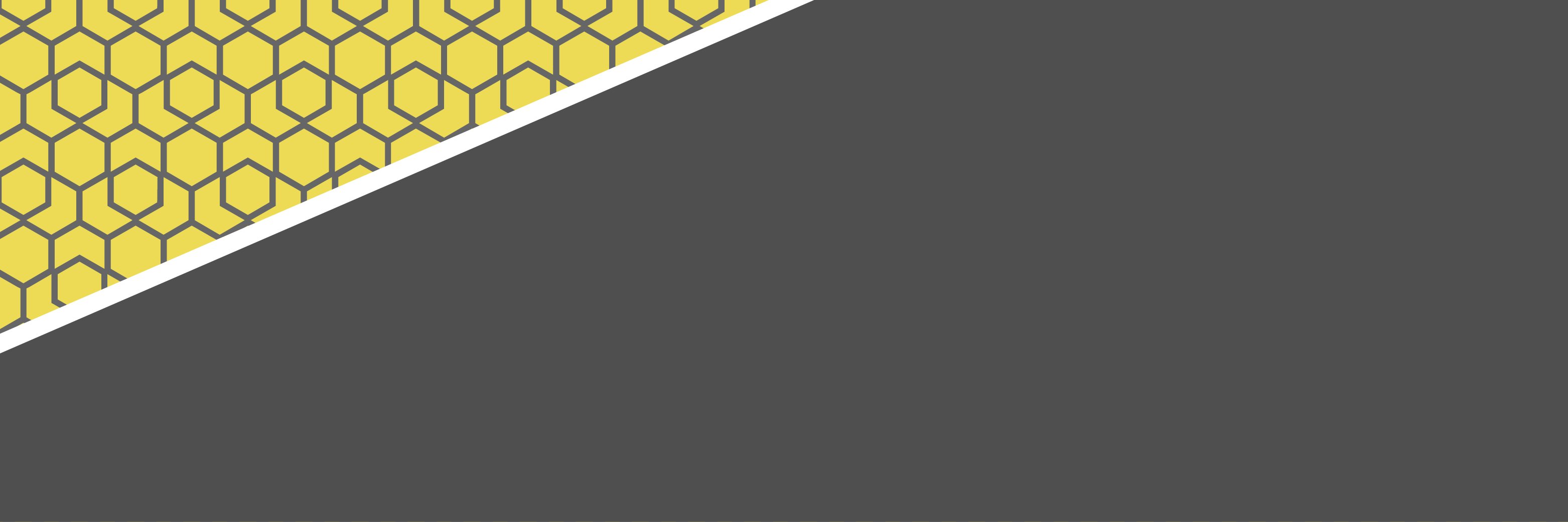 TheSECommunity's profile banner image