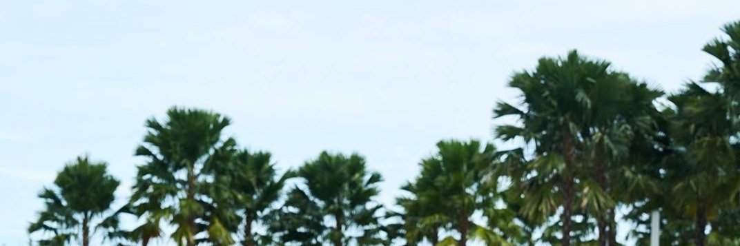 Love_lyworld's profile banner image