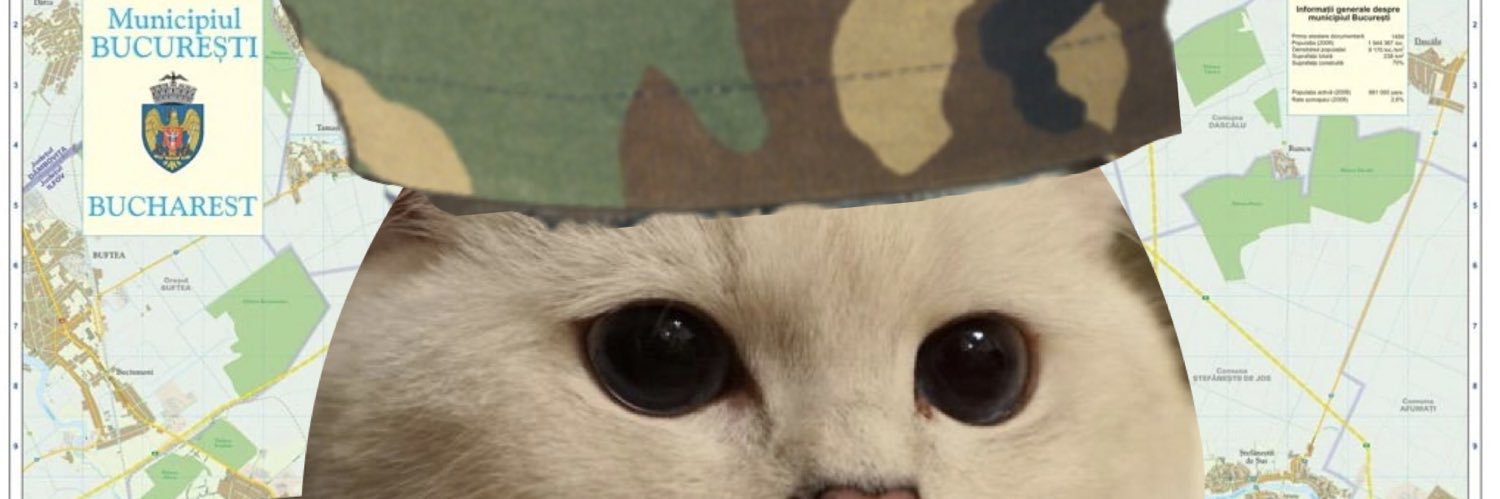 danibobe's profile banner image